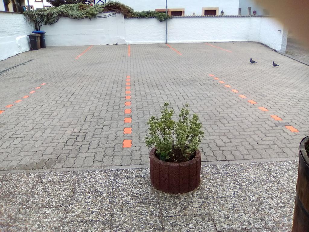 Hotel Trutzpfaff Speyer Bagian luar foto